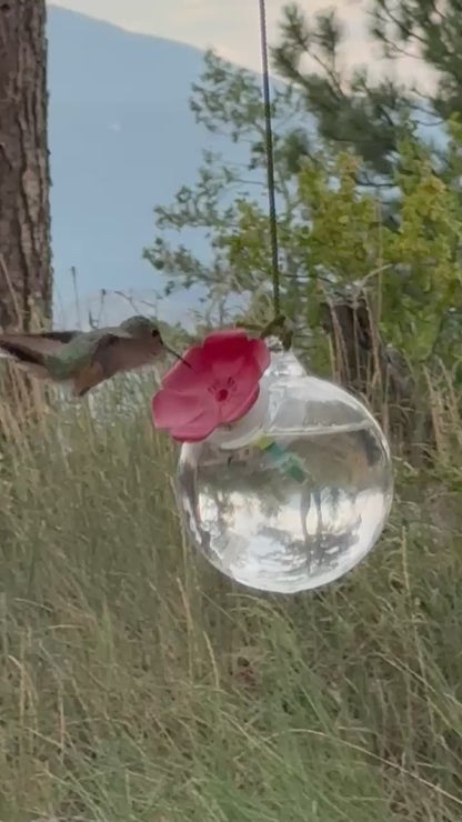 Garden Joya Hummingbird Feeders