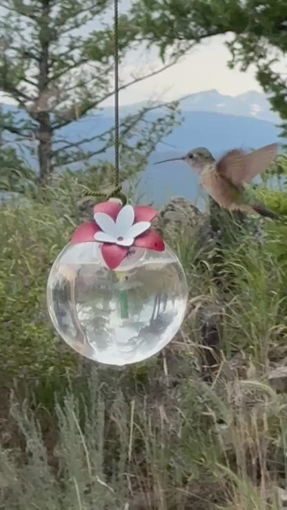 Garden Joya Hummingbird Feeders