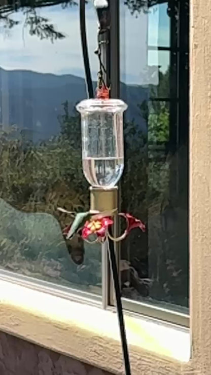 Botella Brilliance Hummingbird Feeders